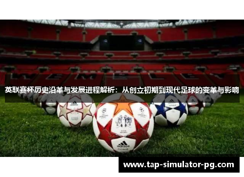 英联赛杯历史沿革与发展进程解析:从创立初期到现代足球的变革与影响 英联赛杯历史沿革与发展进程解析:从创立初期到现代足球的变革与影响