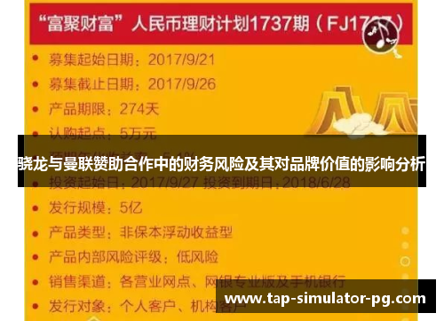 骁龙与曼联赞助合作中的财务风险及其对品牌价值的影响分析