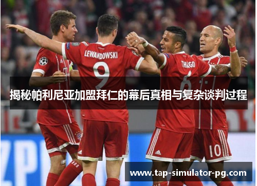 揭秘帕利尼亚加盟拜仁的幕后真相与复杂谈判过程