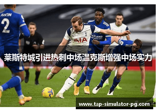 莱斯特城引进热刺中场温克斯增强中场实力 莱斯特城引进热刺中场温克斯增强中场实力